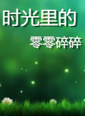 时光里的零零碎碎3小说